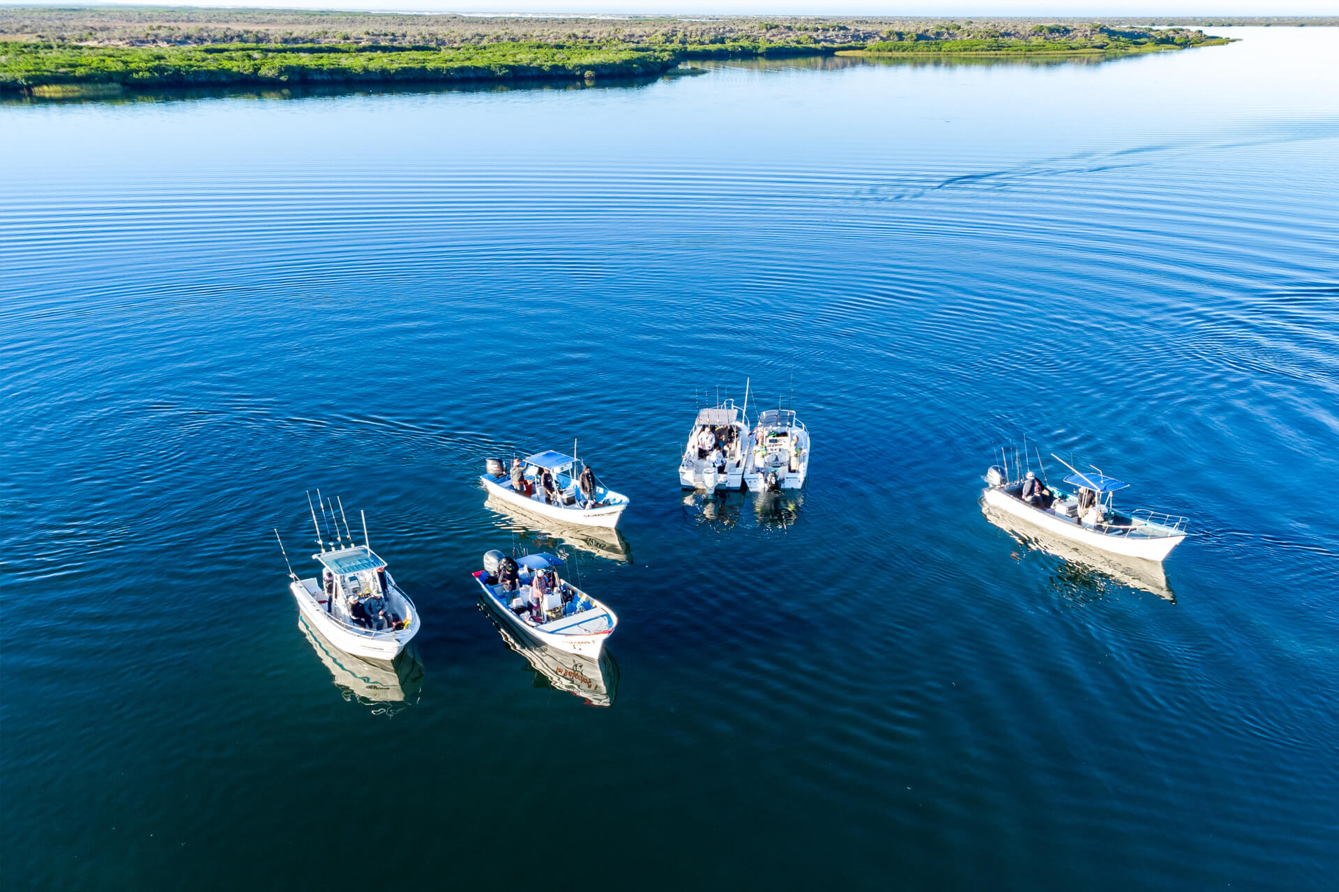 Our experienced local guides are passionate about fishing in Lopez Mateo and know the waters like no one else. Whether you're a beginner or an expert angler, they’ll ensure you have an unforgettable fishing experience.