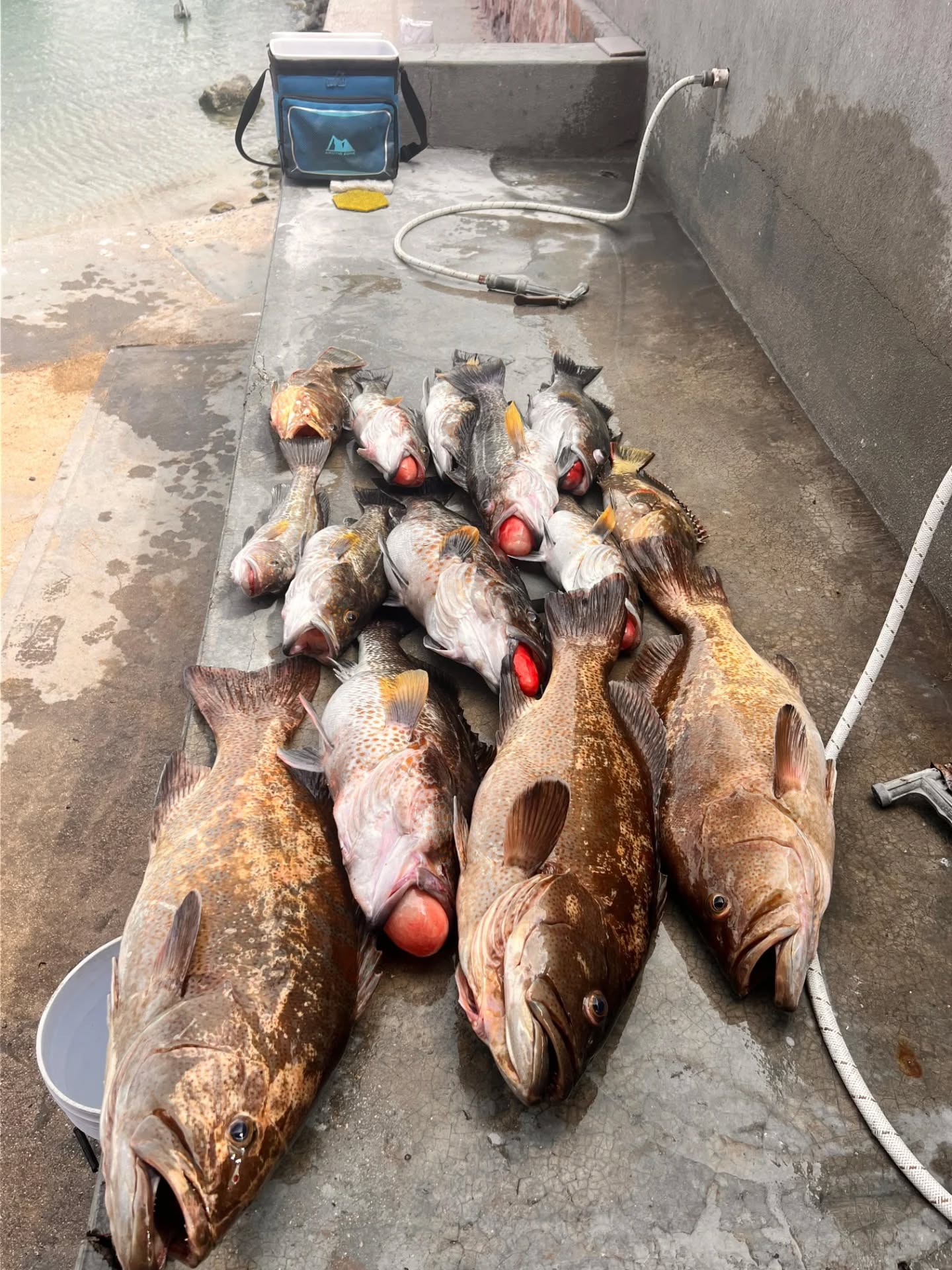 642961099_17916251460301844_7196810359696225582_n