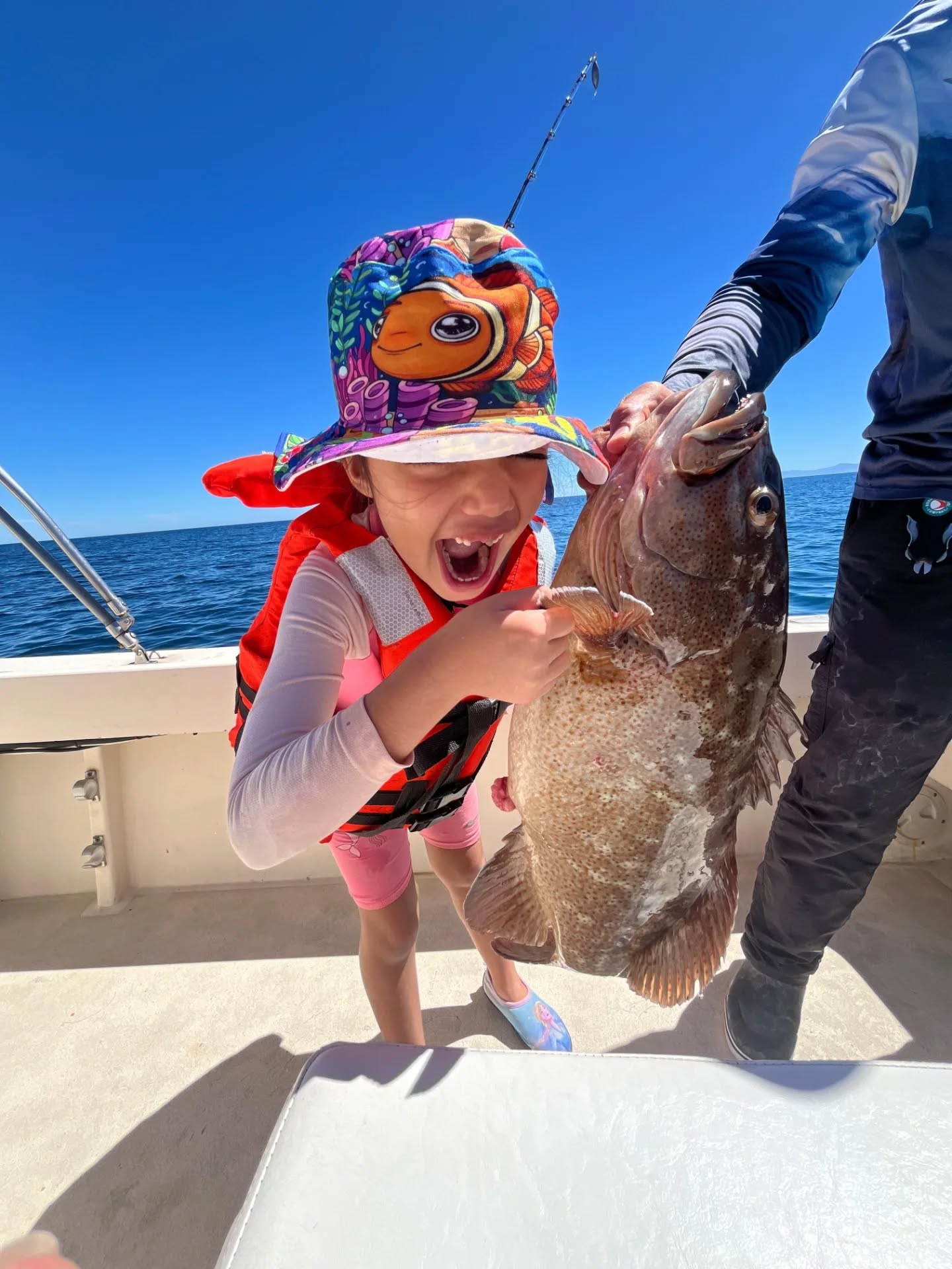 652536847_17917360662301844_6012670645951263805_n