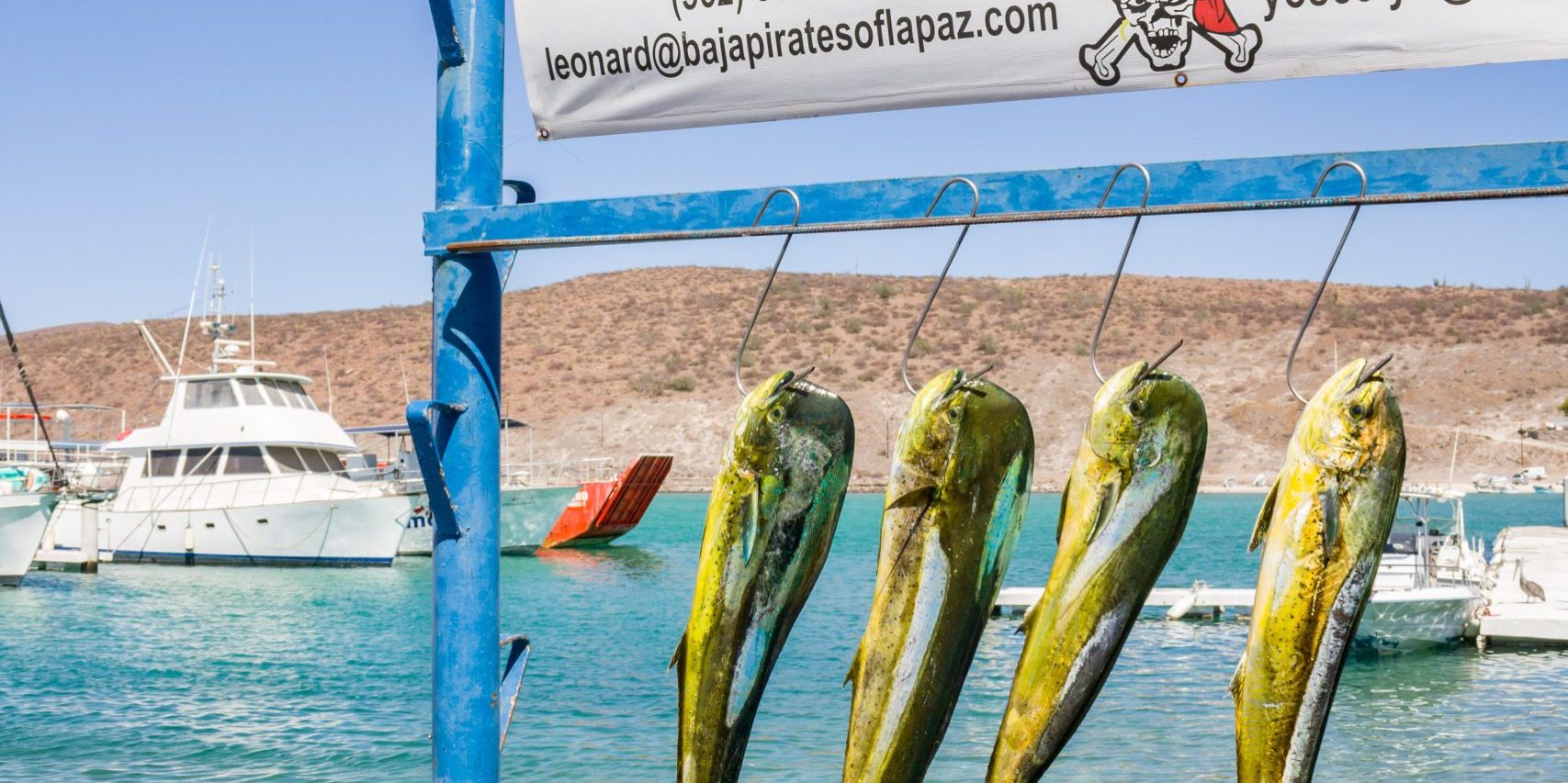 BAJAPIRATES_SEPT24_23