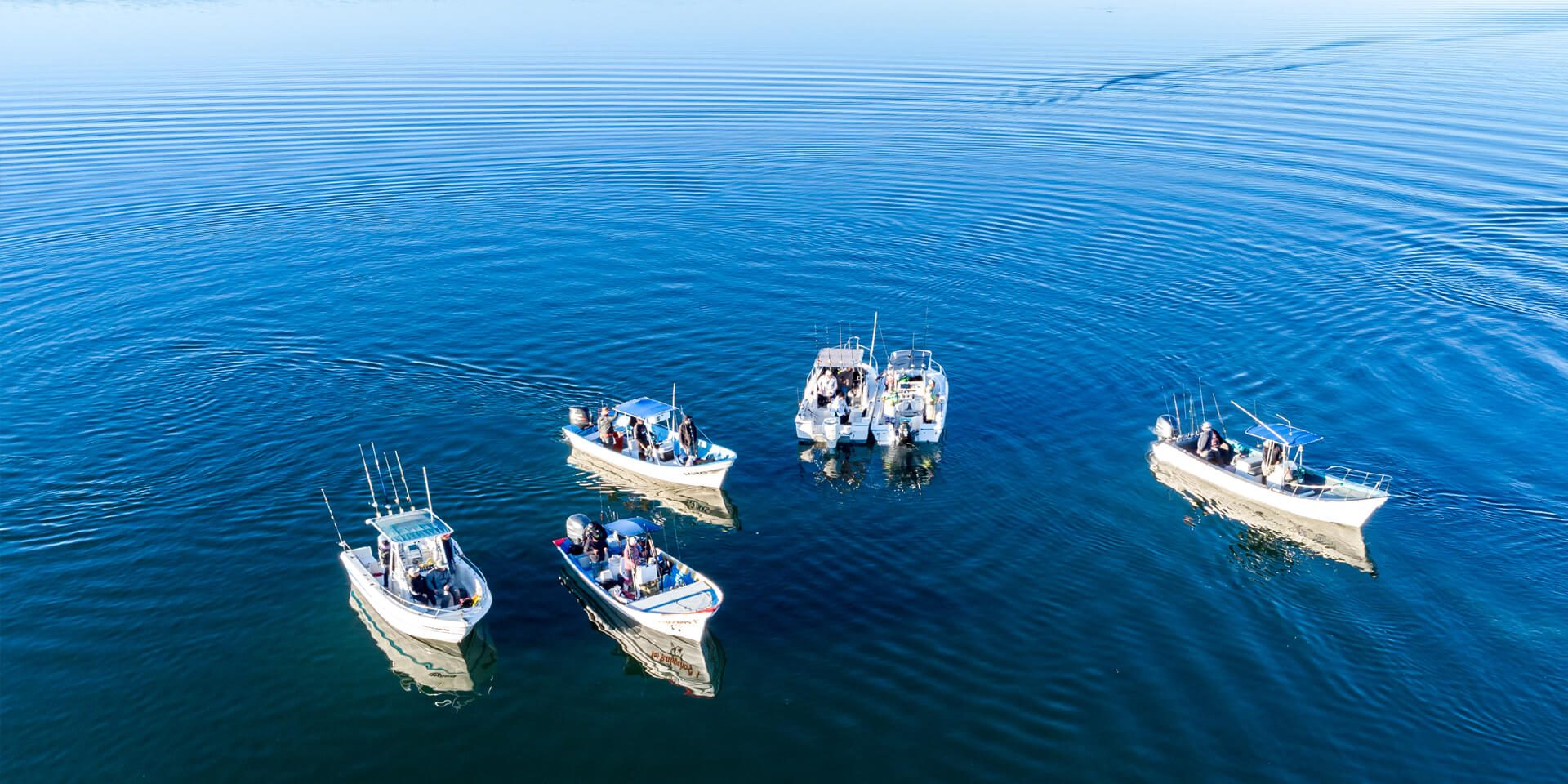 Our experienced local guides are passionate about fishing in Lopez Mateo and know the waters like no one else. Whether you're a beginner or an expert angler, they’ll ensure you have an unforgettable fishing experience.